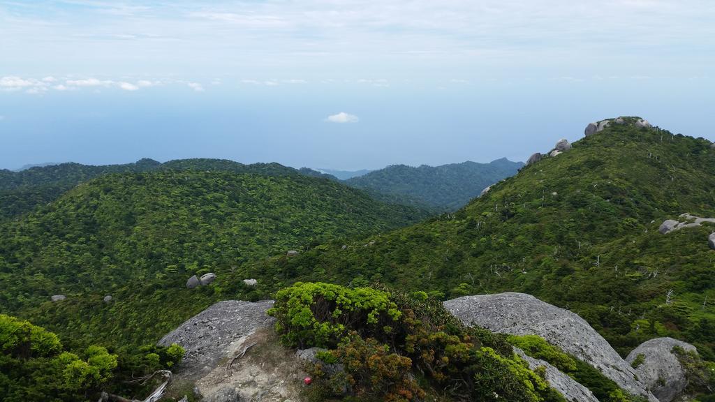 Minnsyuku Yakushimaya Yakushima  Exteriör bild