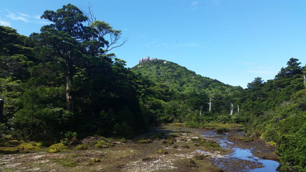 Minnsyuku Yakushimaya Yakushima  Exteriör bild